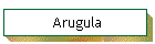 Arugula