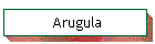 Arugula