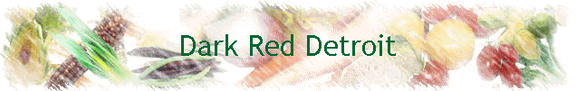 Dark Red Detroit