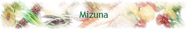 Mizuna