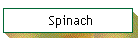 Spinach