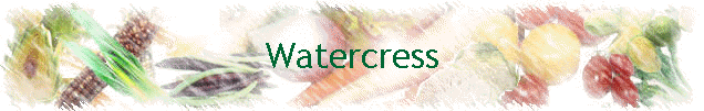 Watercress