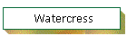 Watercress