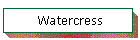 Watercress