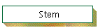 Stem