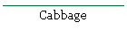 Cabbage