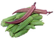 Okra_white_red_spineless.jpg (15663 bytes)