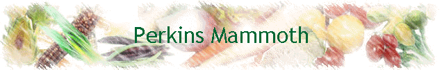 Perkins Mammoth
