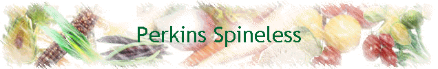 Perkins Spineless