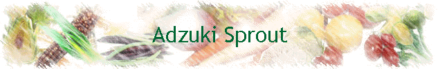 Adzuki Sprout