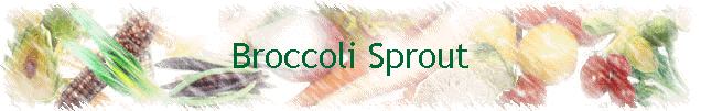 Broccoli Sprout