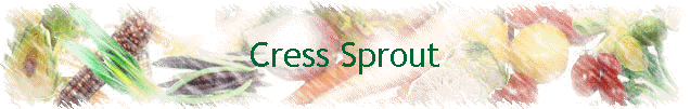Cress Sprout