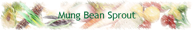 Mung Bean Sprout