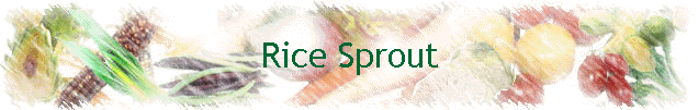Rice Sprout