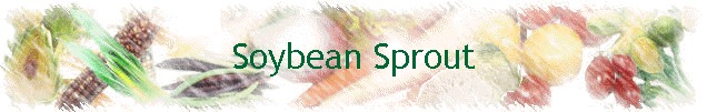 Soybean Sprout