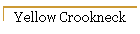 Yellow Crookneck