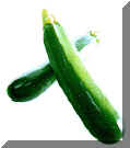 zuchinni B.jpg (27174 bytes)