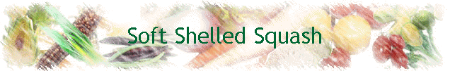 Soft Shelled Squash