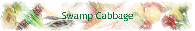 Swamp Cabbage