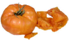 persimmon.jpg (11925 bytes)