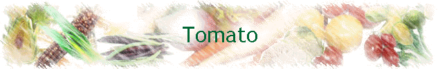 Tomato