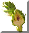 Artichoke B.jpg (72466 bytes)