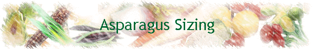 Asparagus Sizing