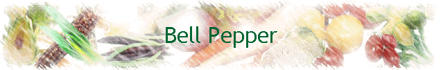 Bell Pepper