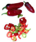 jalapeno_early.jpg (30829 bytes)