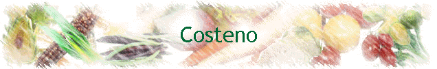 Costeno