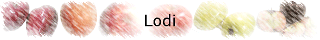 Lodi