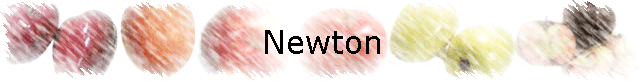 Newton