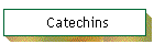 Catechins