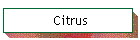 Citrus