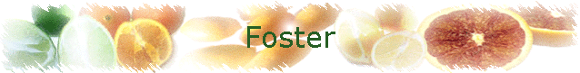 Foster