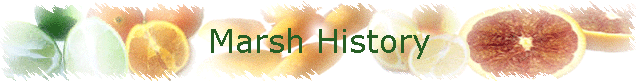 Marsh History