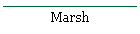 Marsh