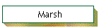 Marsh