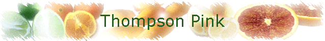 Thompson Pink