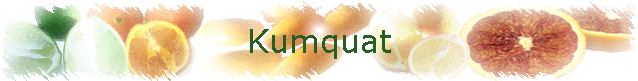 Kumquat