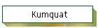 Kumquat