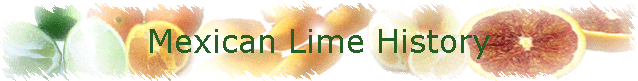 Mexican Lime History