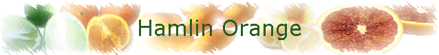 Hamlin Orange