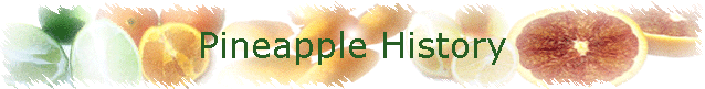 Pineapple History