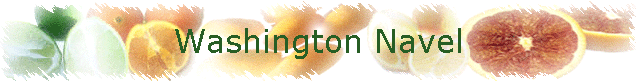 Washington Navel