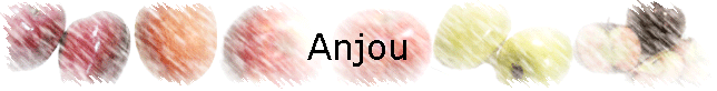 Anjou