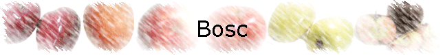 Bosc