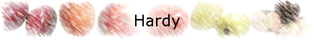 Hardy