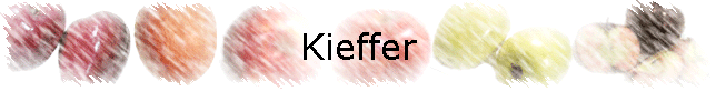 Kieffer