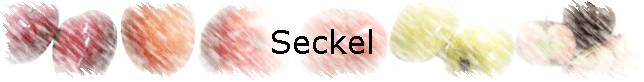 Seckel